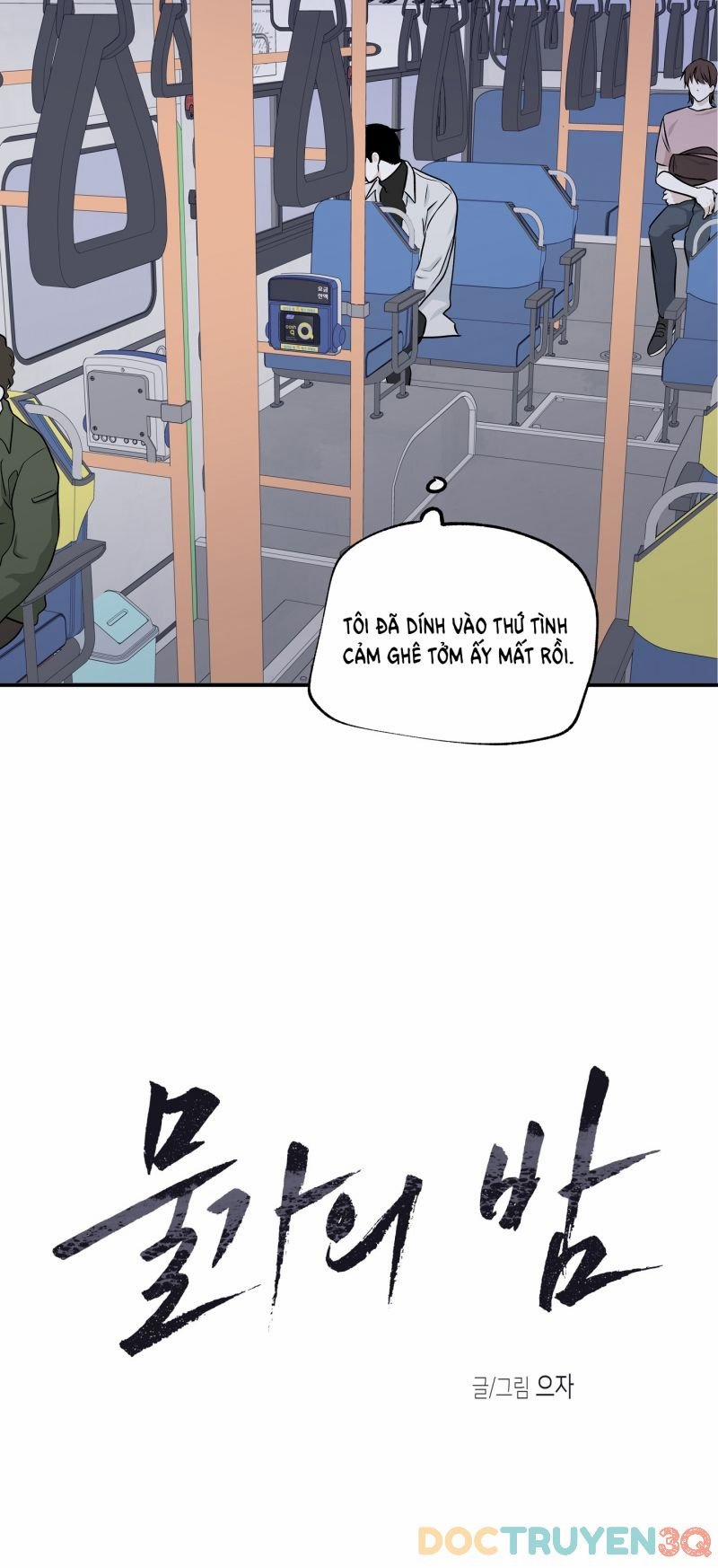 Đêm Bên Bờ Biển 49.5 trang 13