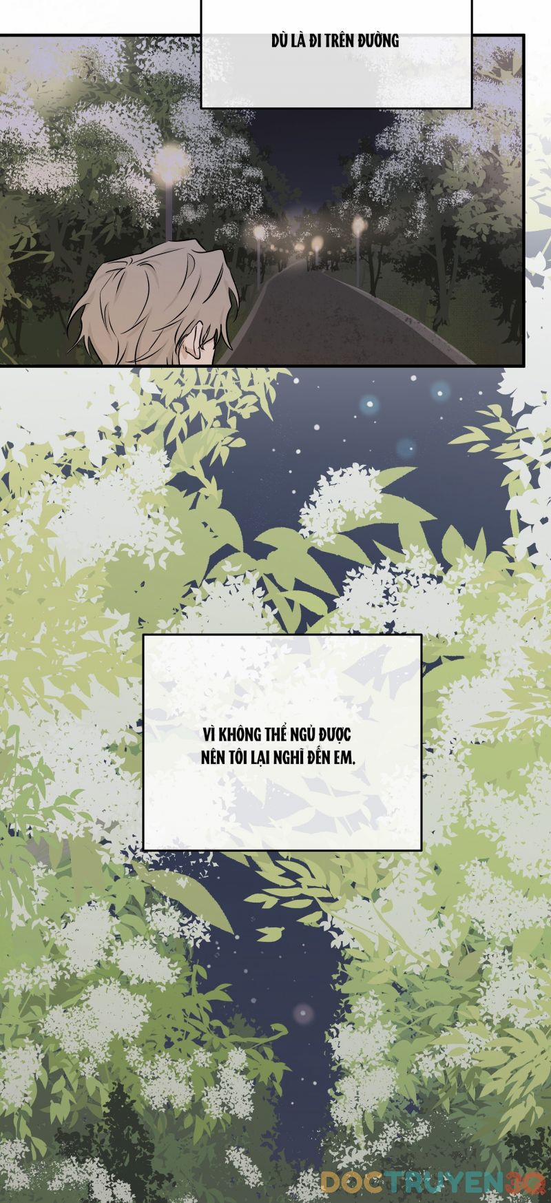 Đêm Bên Bờ Biển 50.5 trang 5