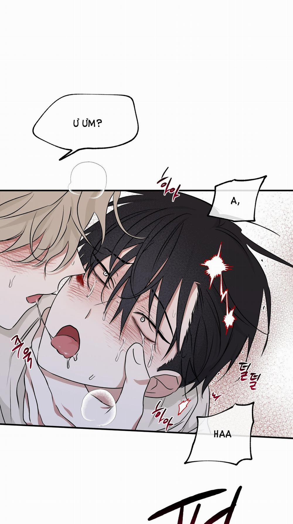 Đêm Bên Bờ Biển 54.5 trang 0