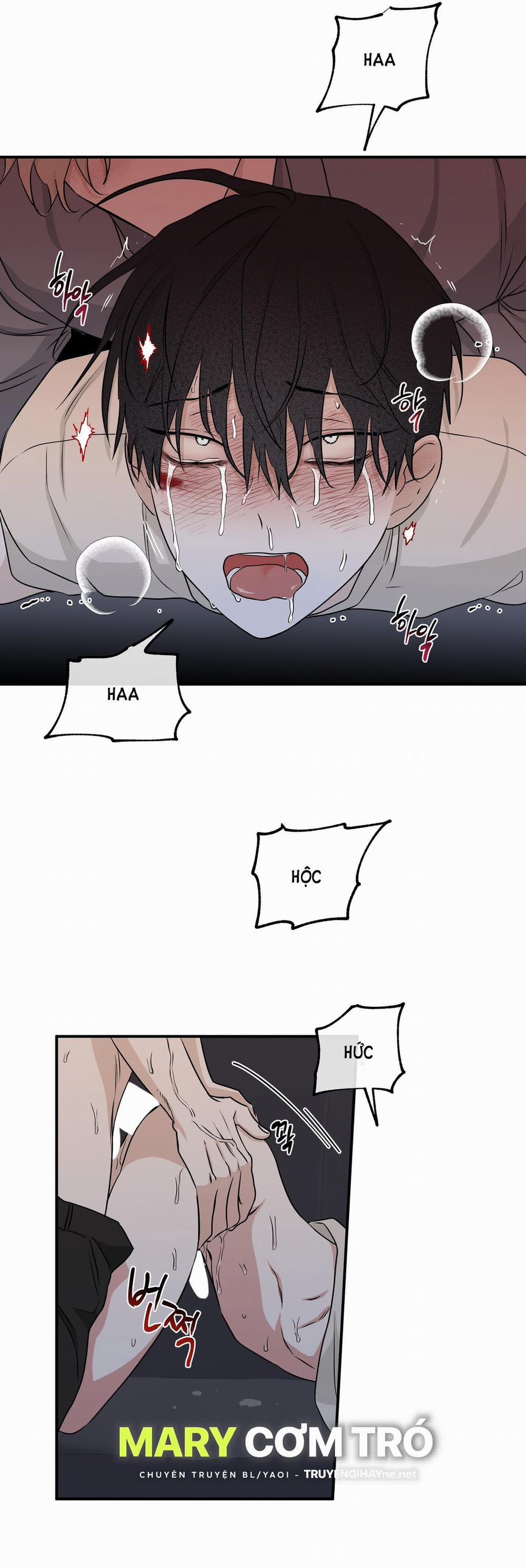 Đêm Bên Bờ Biển 54.5 trang 12