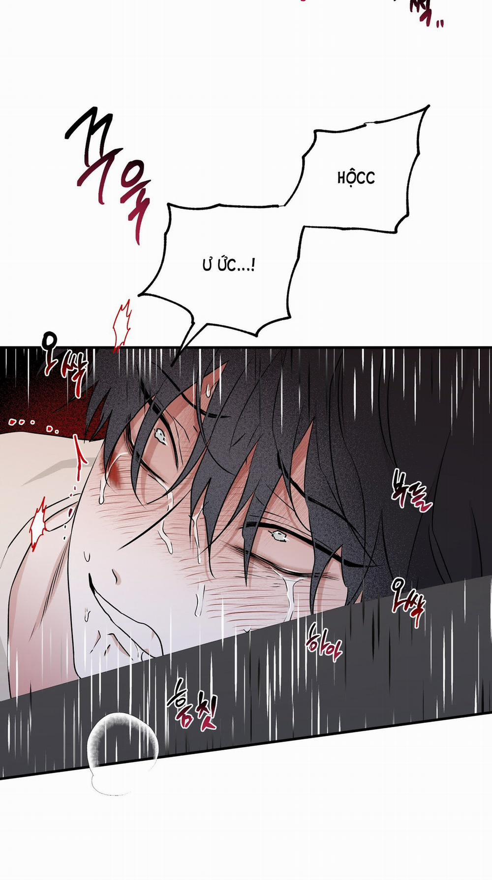 Đêm Bên Bờ Biển 54.5 trang 5