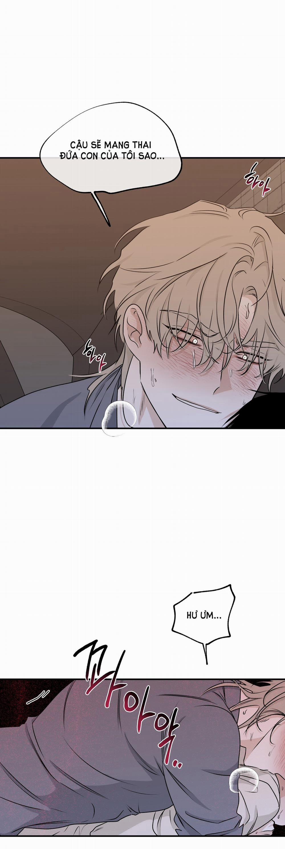 Đêm Bên Bờ Biển 54.5 trang 6