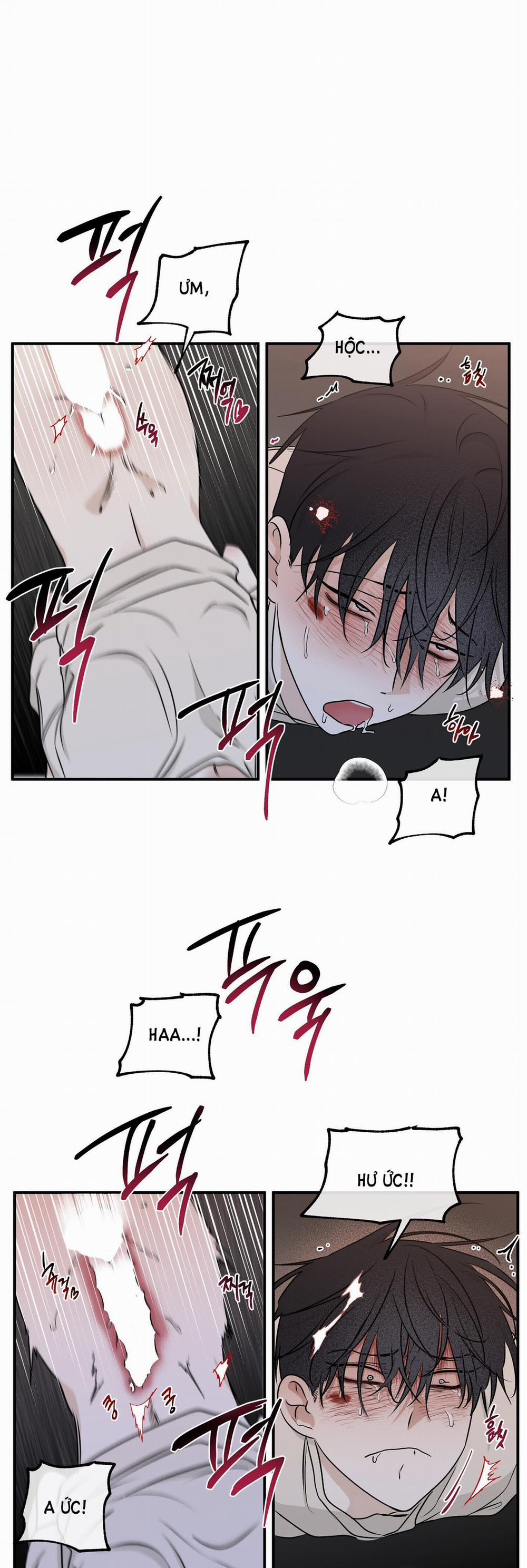 Đêm Bên Bờ Biển 54.5 trang 7