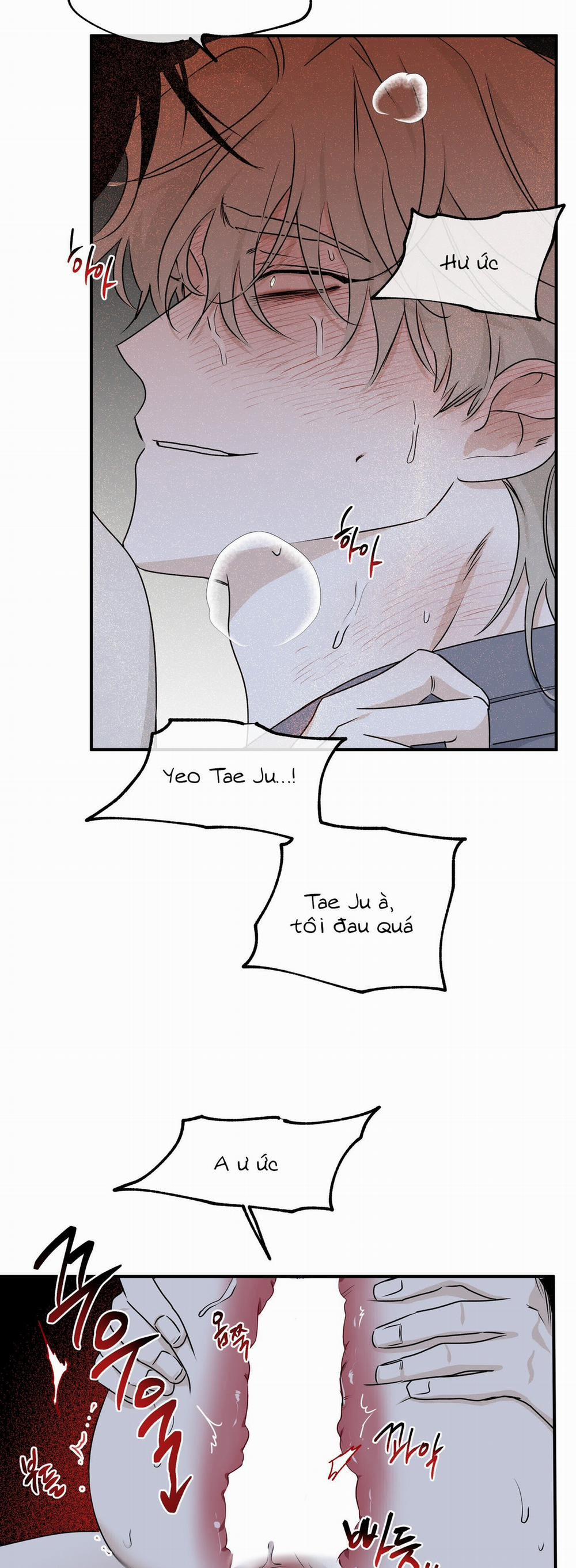 Đêm Bên Bờ Biển 55.5 trang 14