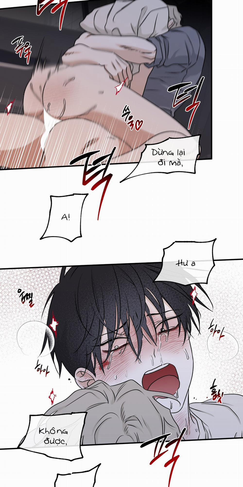 Đêm Bên Bờ Biển 55.5 trang 5