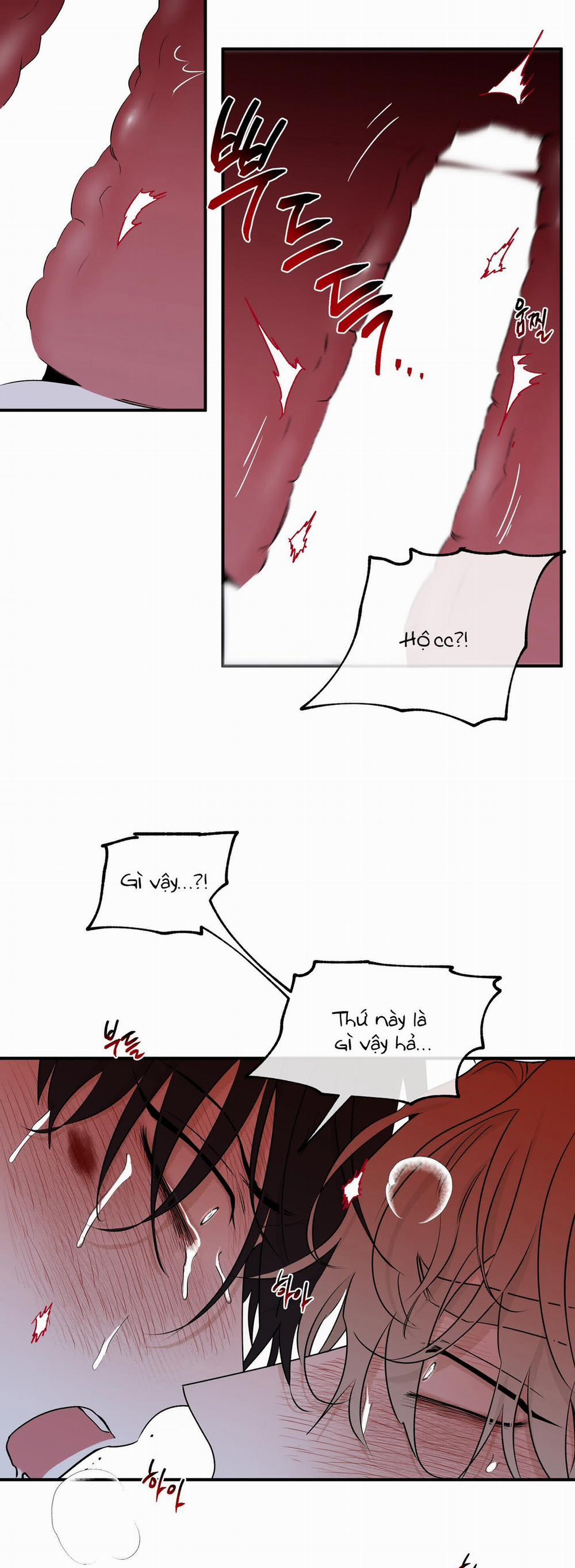 Đêm Bên Bờ Biển 55.5 trang 9