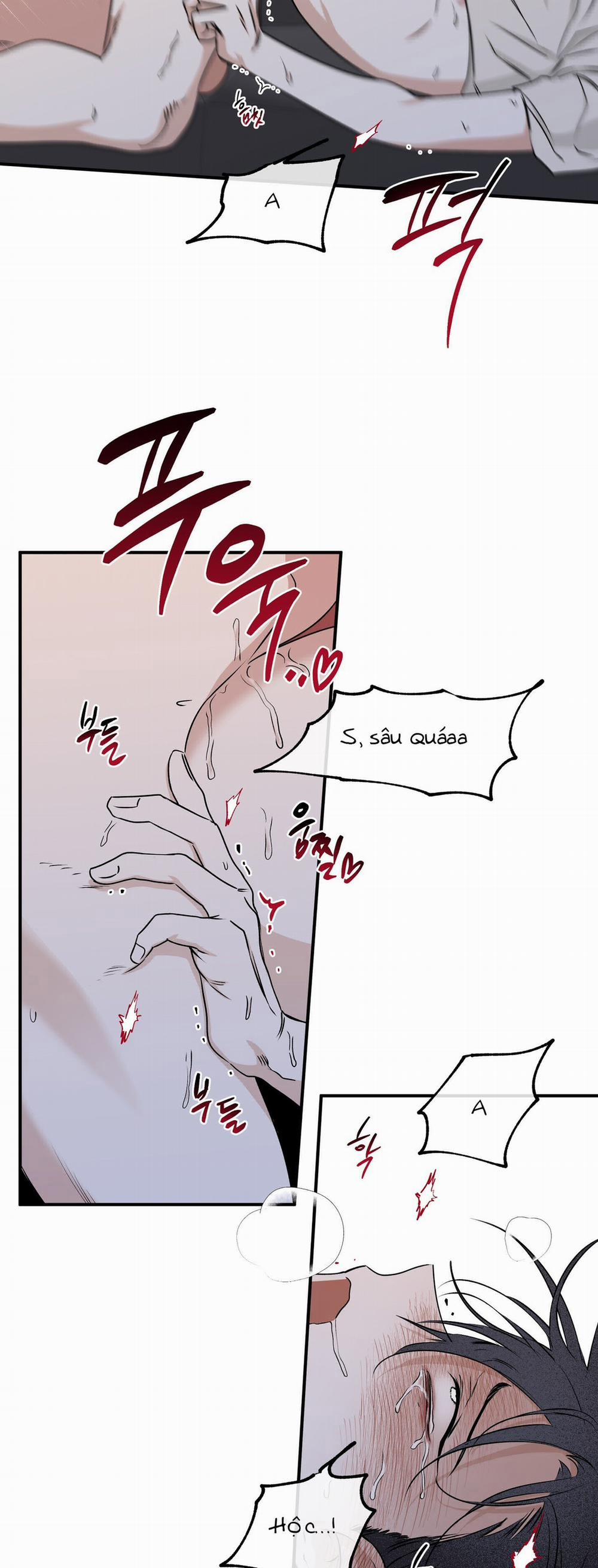 Đêm Bên Bờ Biển 55 trang 10