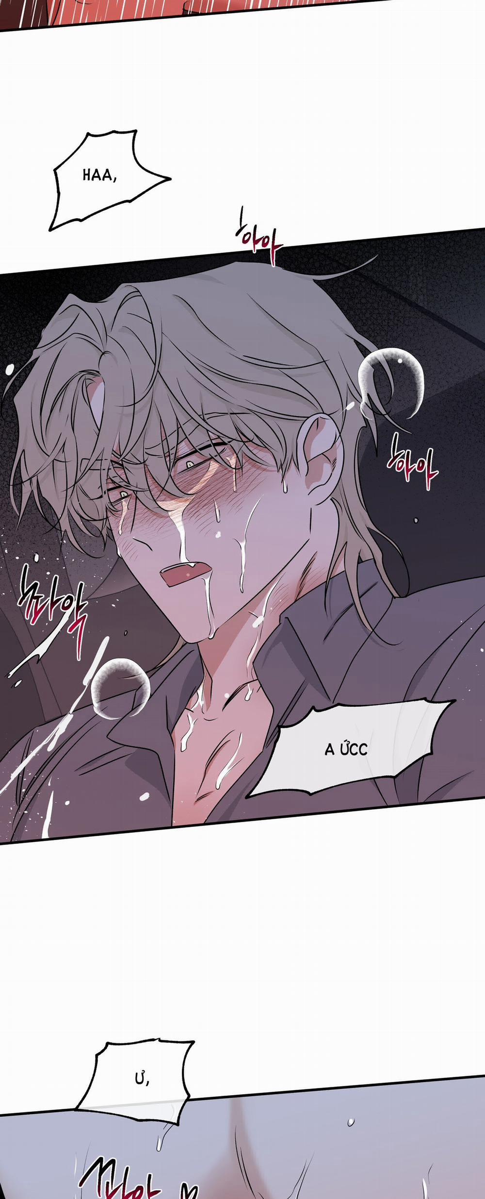 Đêm Bên Bờ Biển 56 trang 21