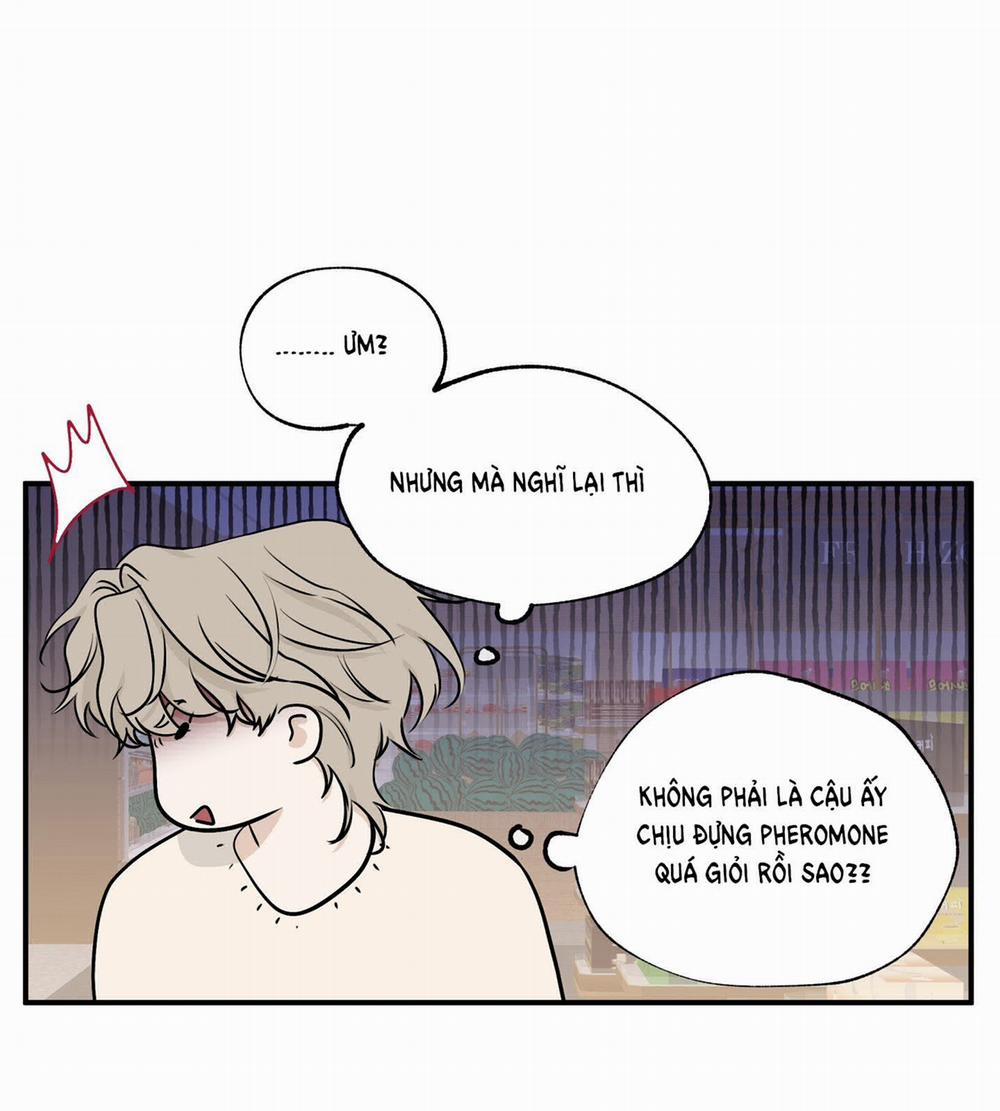 Đêm Bên Bờ Biển 67.1 trang 11