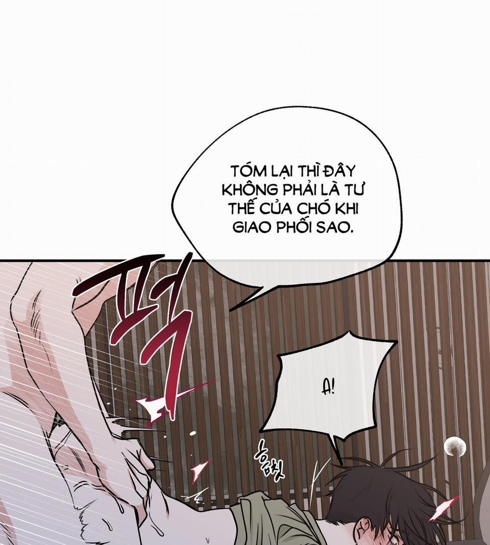 Đêm Bên Bờ Biển 67.2 trang 42