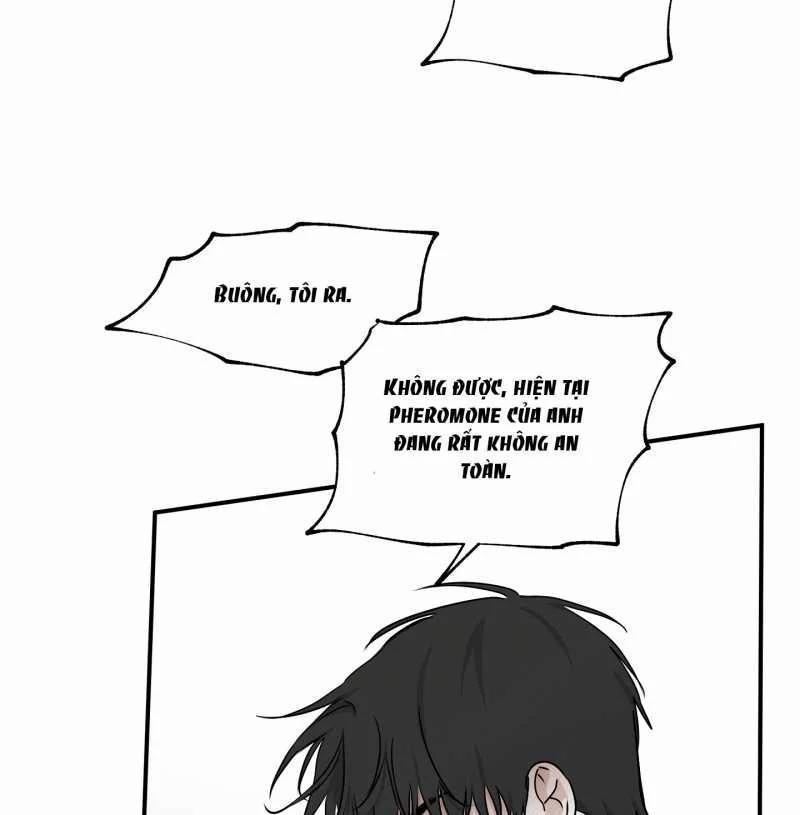 Đêm Bên Bờ Biển 72.2 trang 11