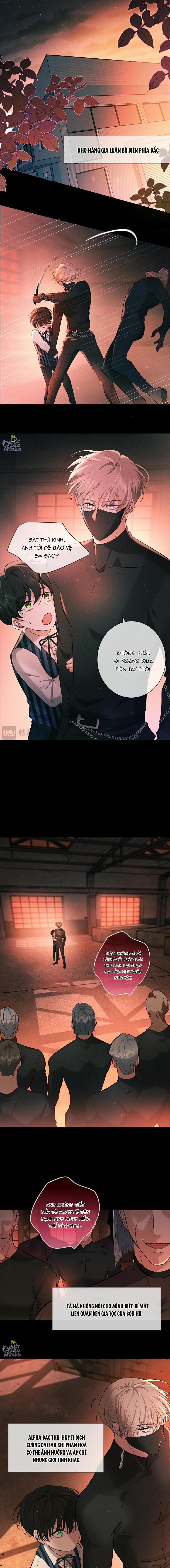 Đêm Cuồng Say 12 trang 6