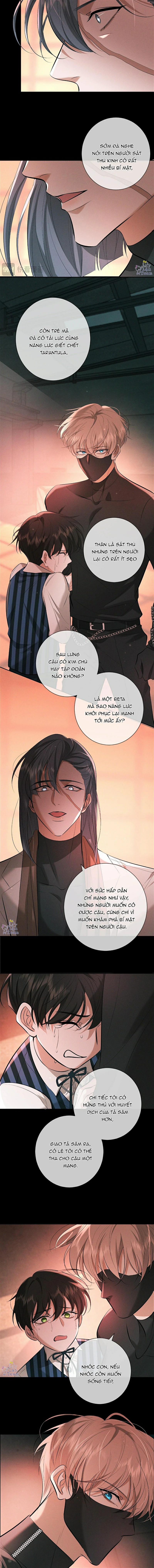 Đêm Cuồng Say 12 trang 9