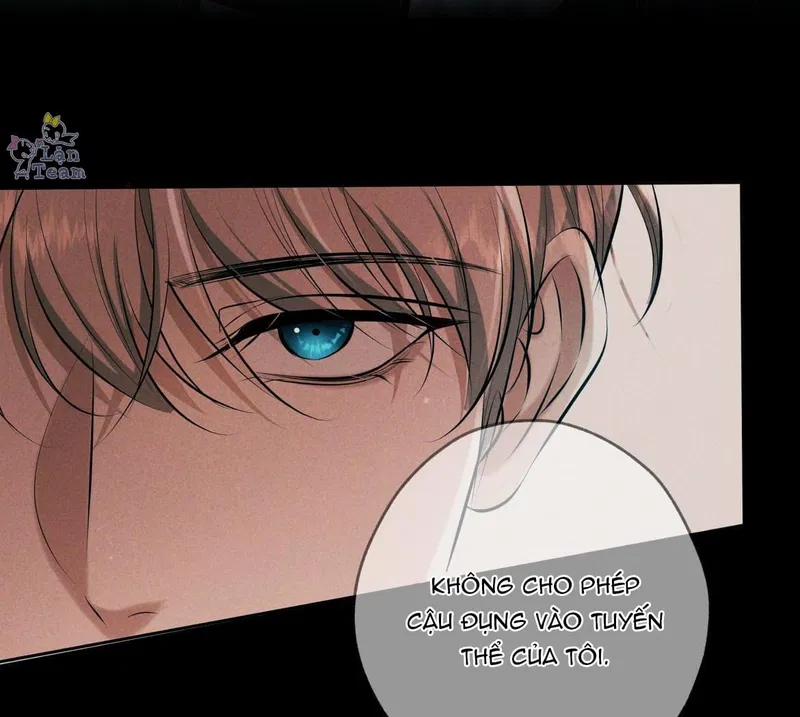 Đêm Cuồng Say 22 trang 5