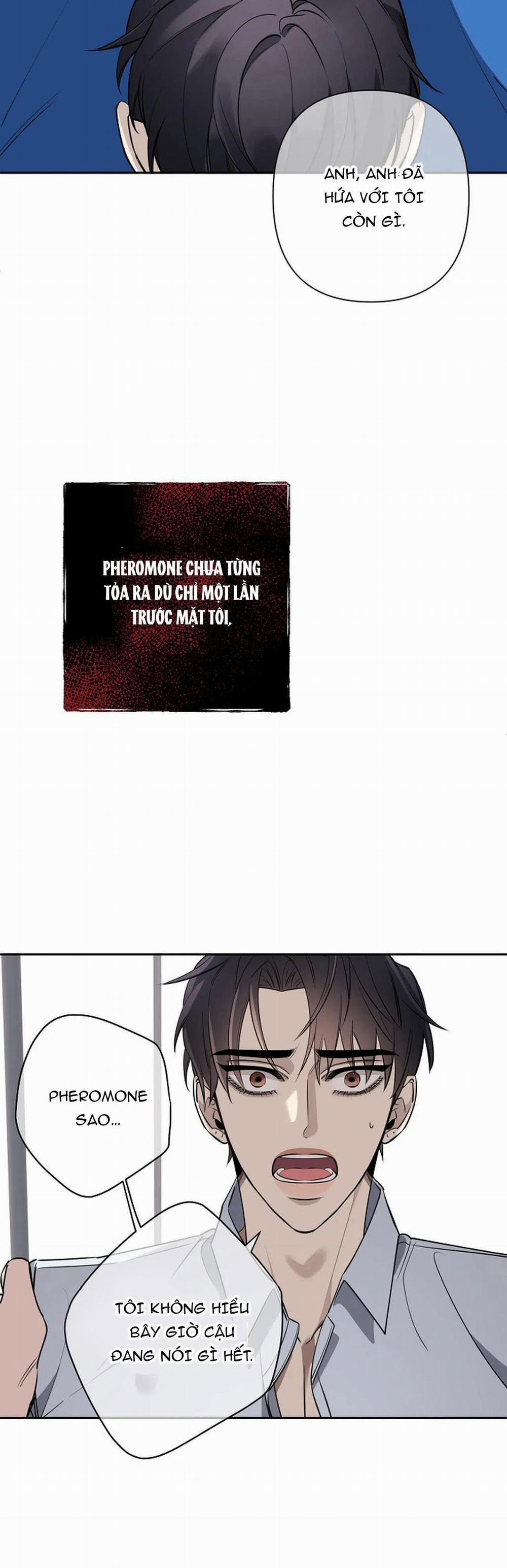 Đêm Dịu Dàng 39 trang 35