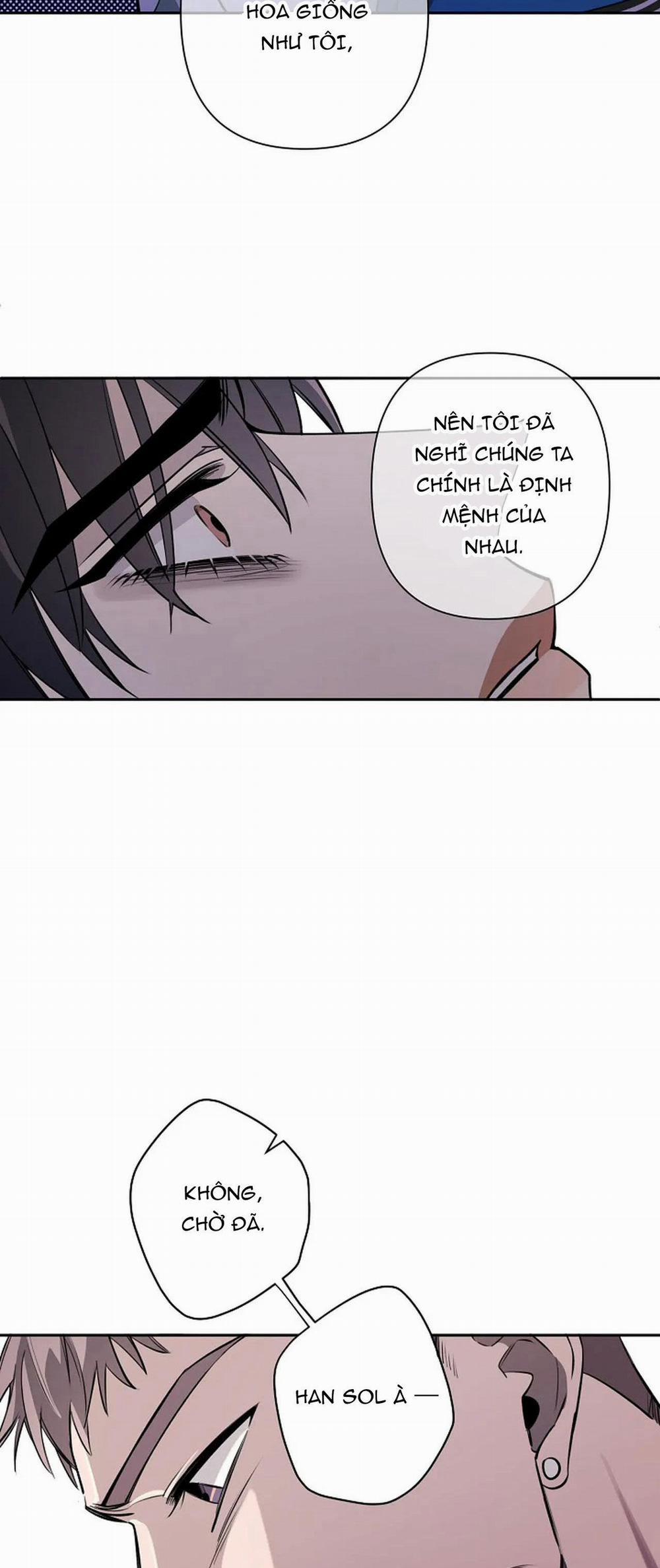 Đêm Dịu Dàng 39 trang 46