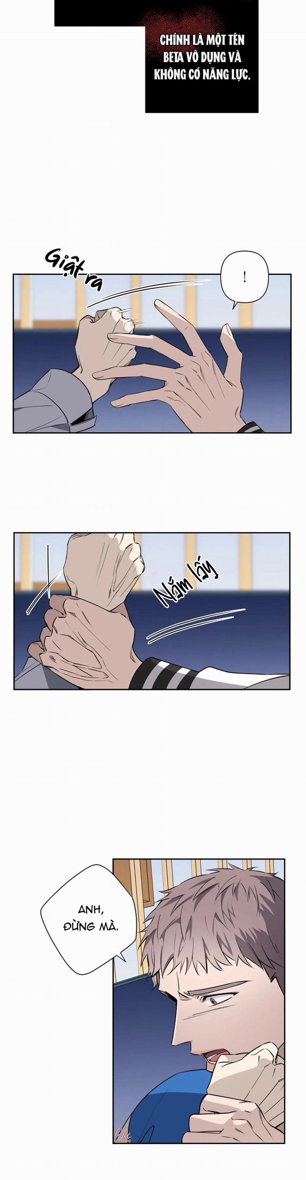 Đêm Dịu Dàng 40 trang 23