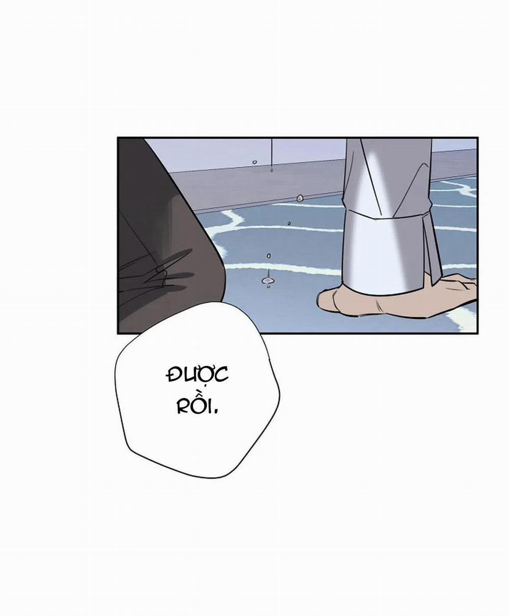 Đêm Dịu Dàng 41 trang 17