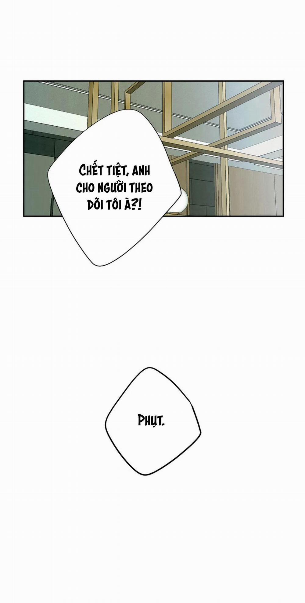 Đêm Dịu Dàng 41 trang 35