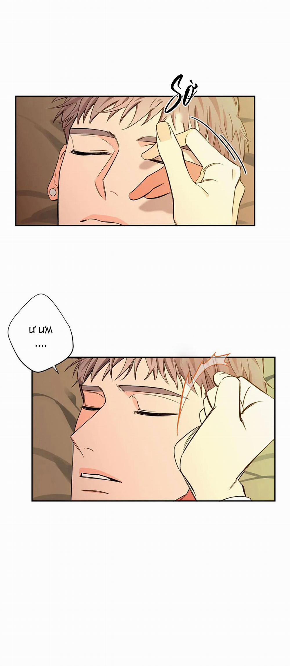 Đêm Dịu Dàng 45 trang 9