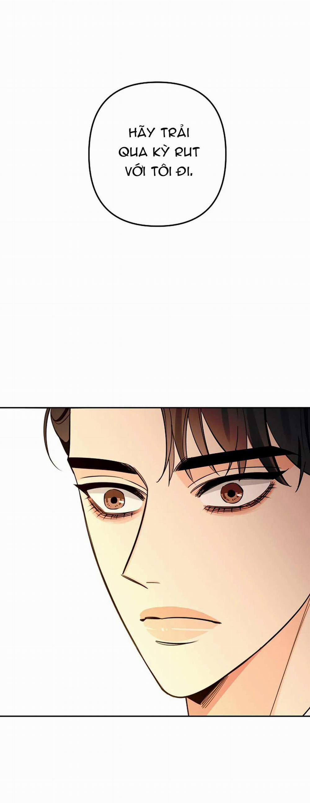 Đêm Dịu Dàng 46 trang 1