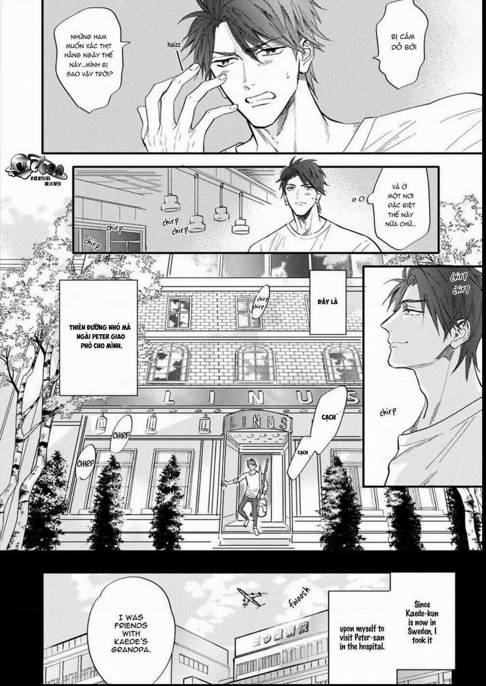 Đêm Hoan Lạc 3 trang 0