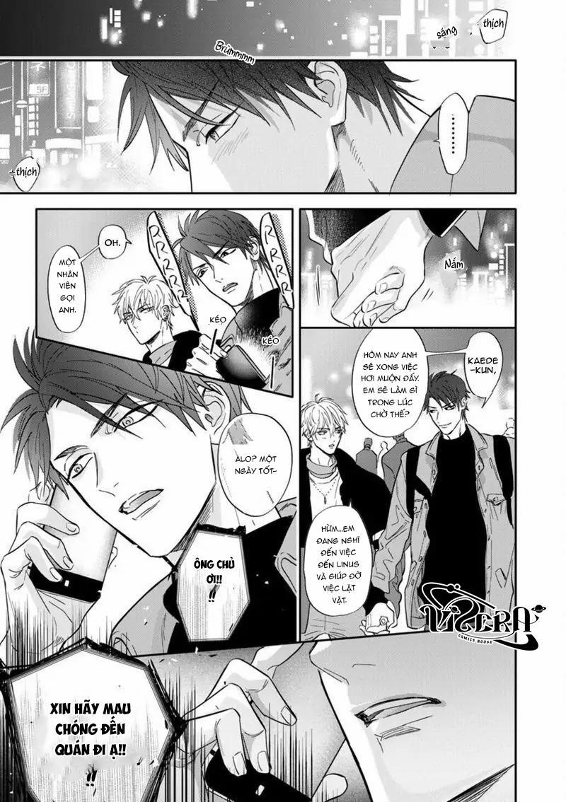 Đêm Hoan Lạc 5 trang 8