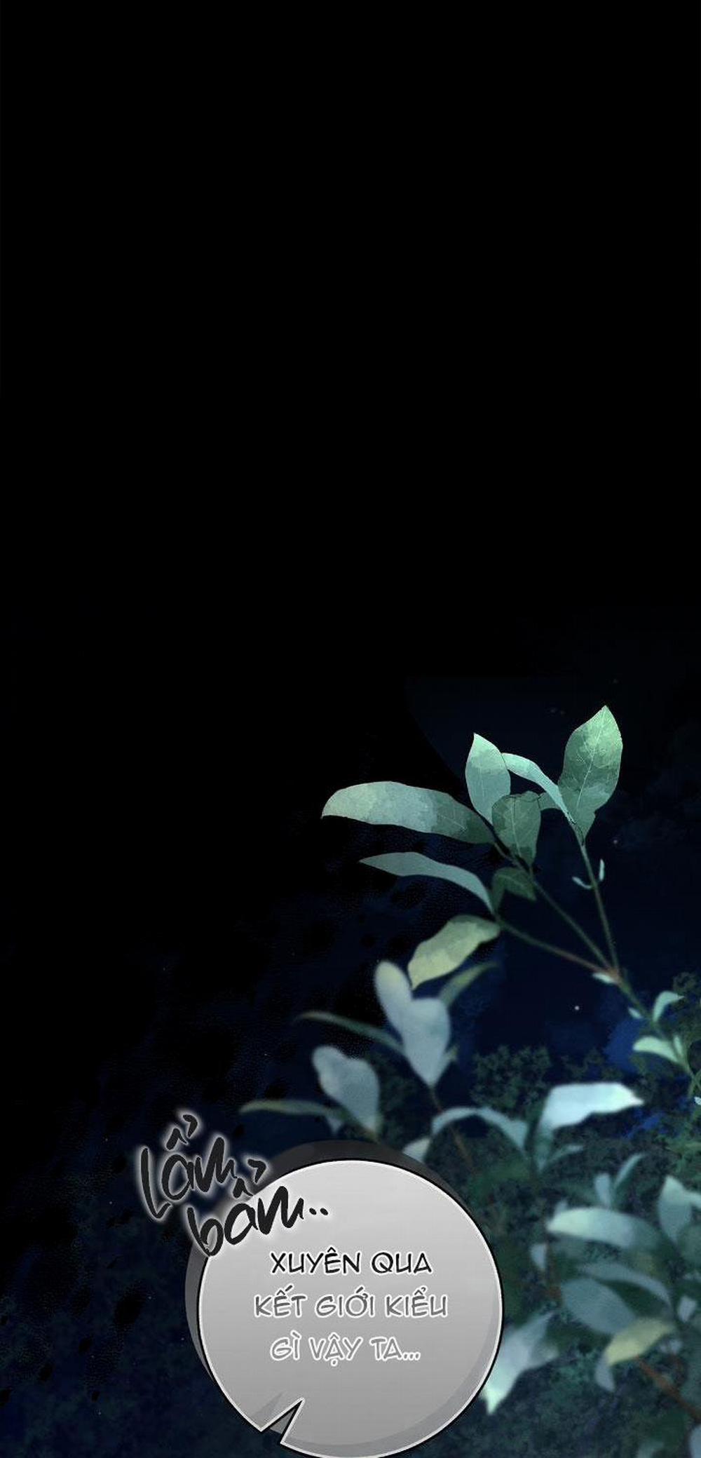 ĐÊM KHÔNG DẤU VẾT 18 trang 8