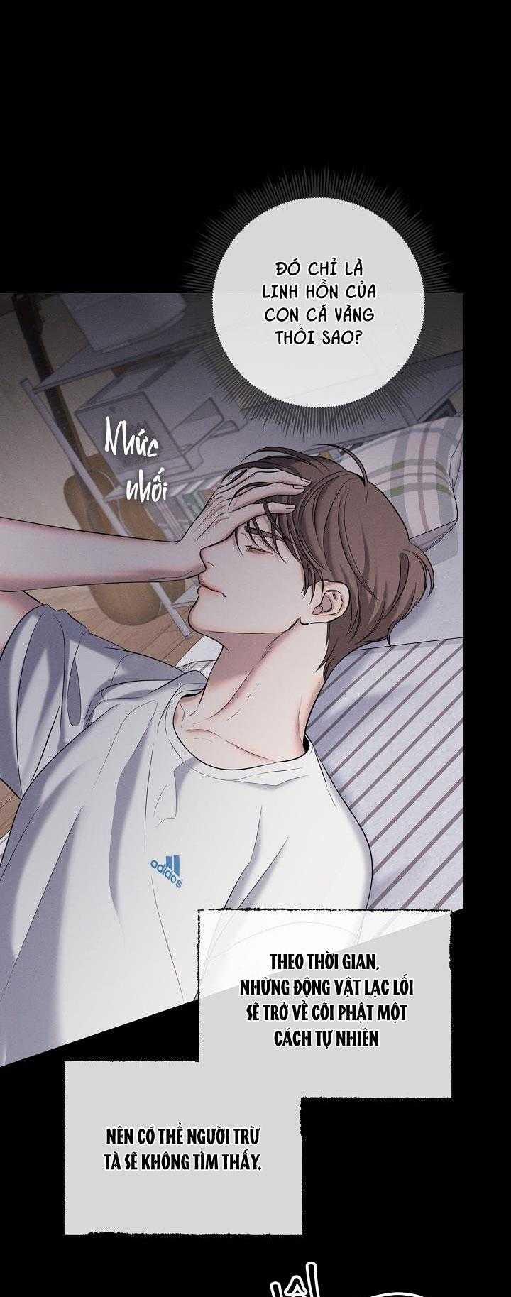 ĐÊM KHÔNG DẤU VẾT 25 trang 16