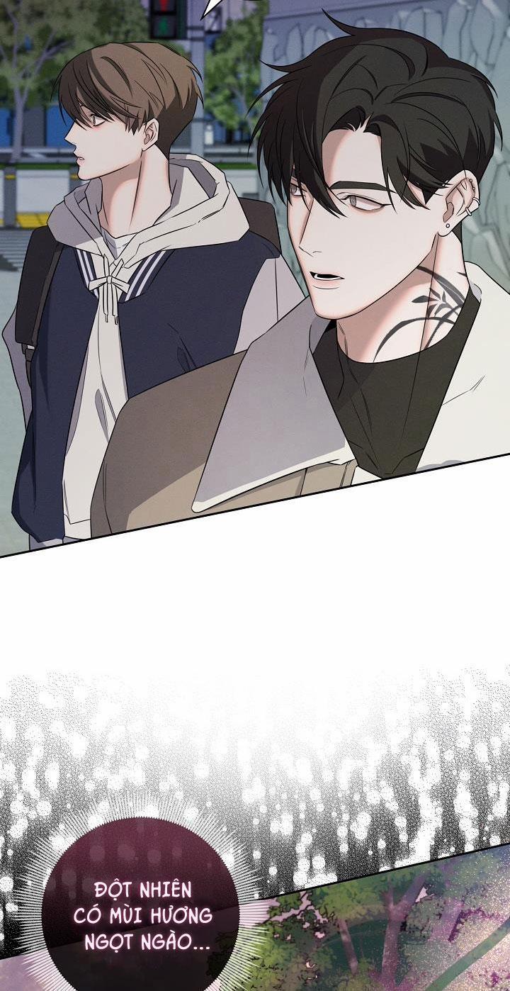 ĐÊM KHÔNG DẤU VẾT 5 trang 31