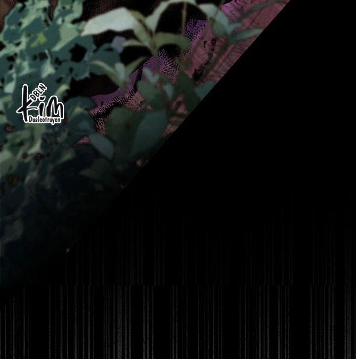 ĐÊM KHÔNG DẤU VẾT 5 trang 84