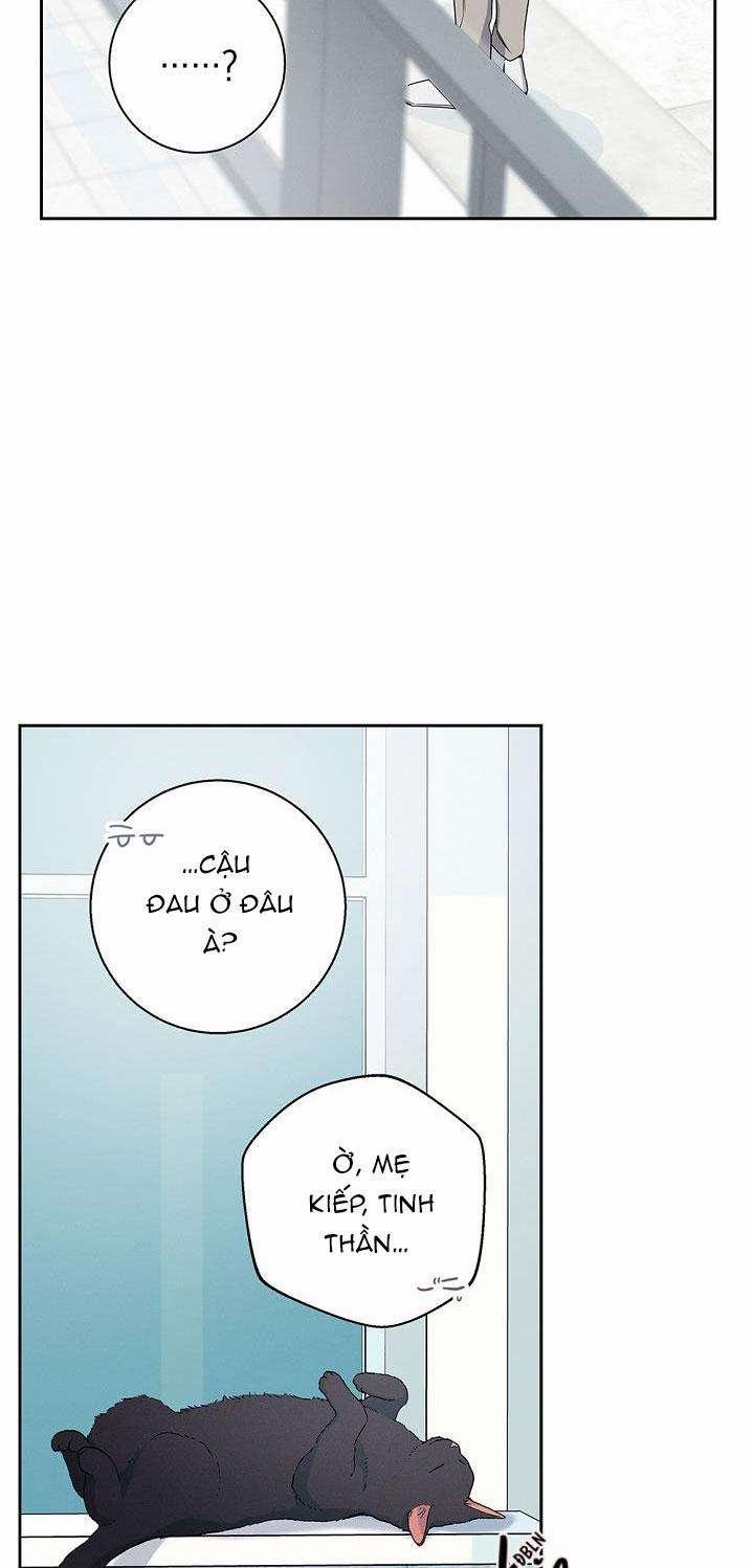 ĐÊM KHÔNG DẤU VẾT 9 trang 17