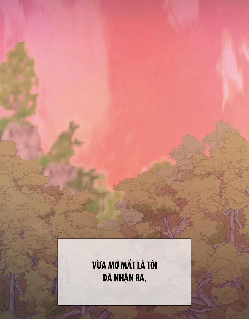 Đêm Kinh Hoàng 42 trang 9