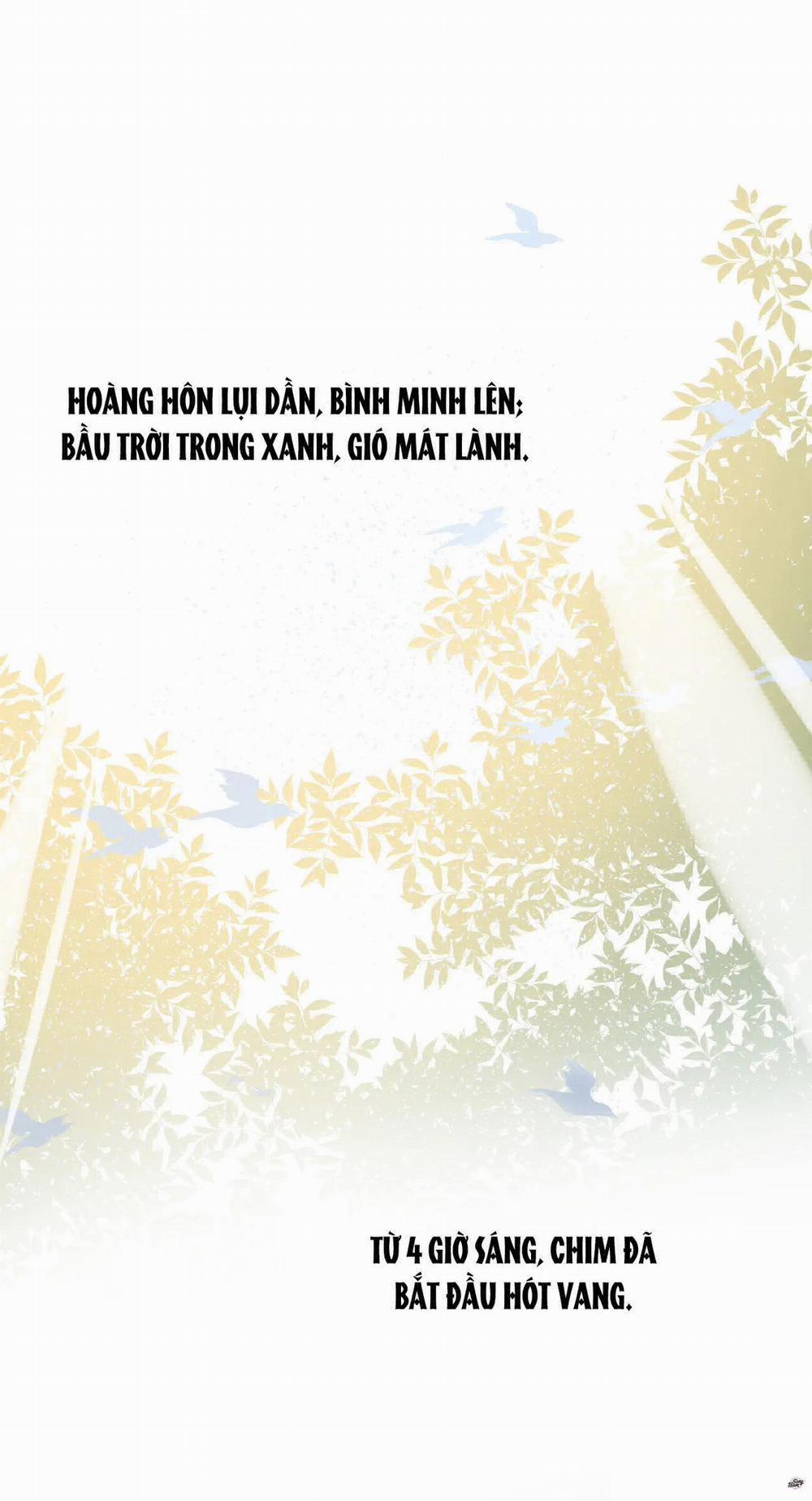 Đêm Nay Gió Khuya Thổi 28 trang 2