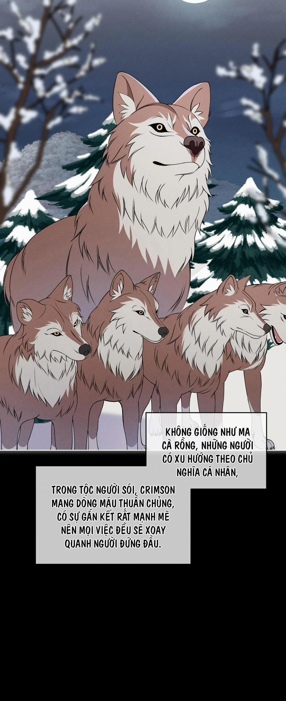 Đêm Săn Ở London 26 trang 11