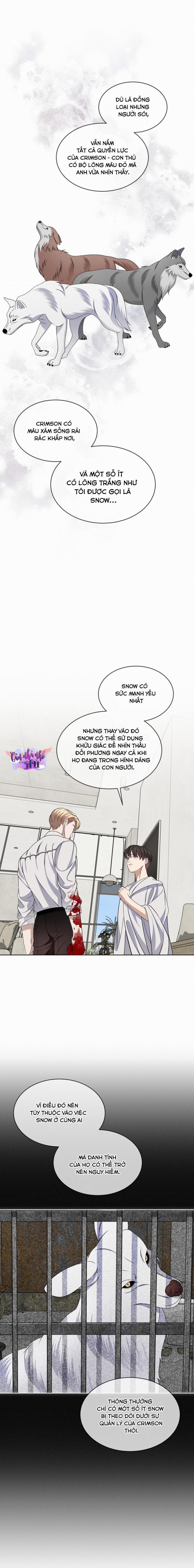 Đêm Săn Ở London 40 trang 12