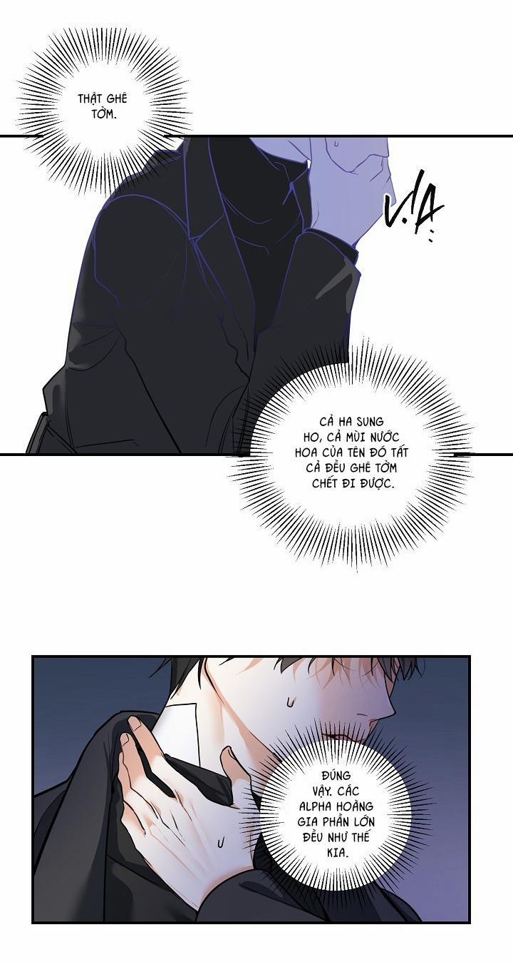 ĐÊM SĂN 13 trang 6