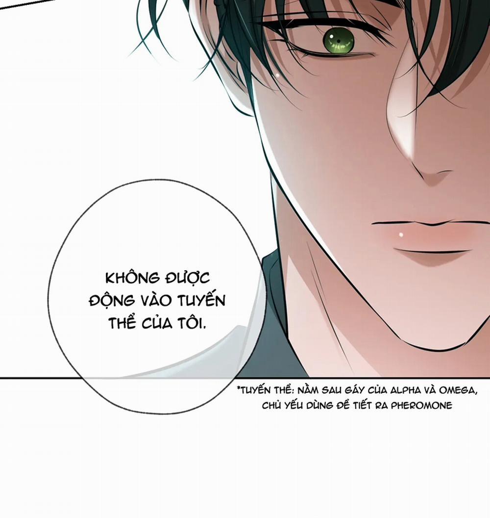 Đêm Tình Yêu Và Sát Ý 10 trang 21