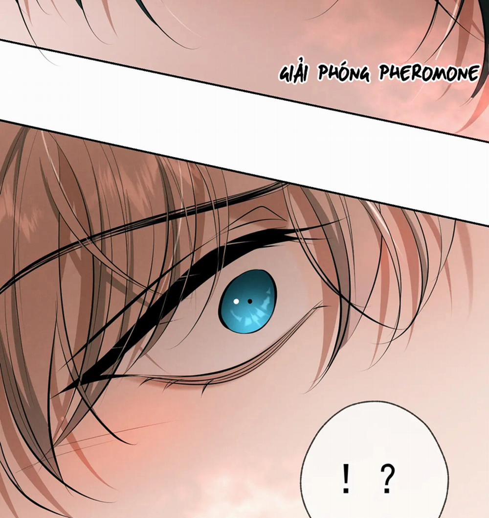 Đêm Tình Yêu Và Sát Ý 10 trang 43