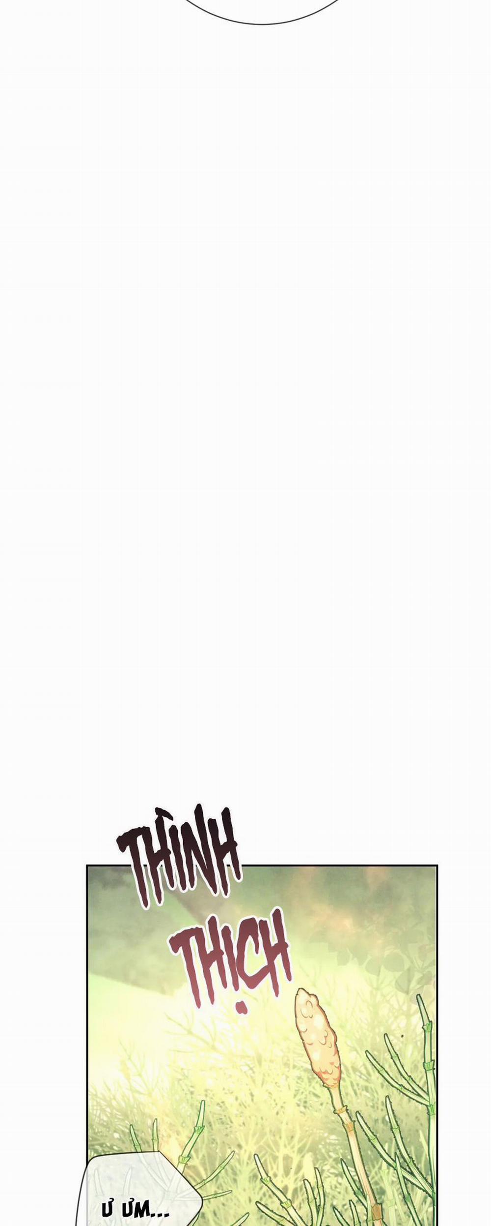 Đêm Tình Yêu Và Sát Ý 17 trang 23