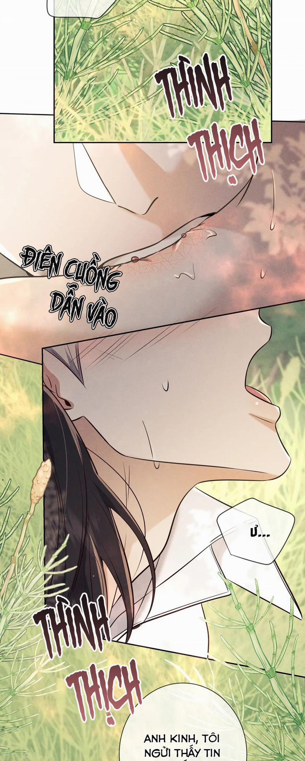 Đêm Tình Yêu Và Sát Ý 17 trang 24