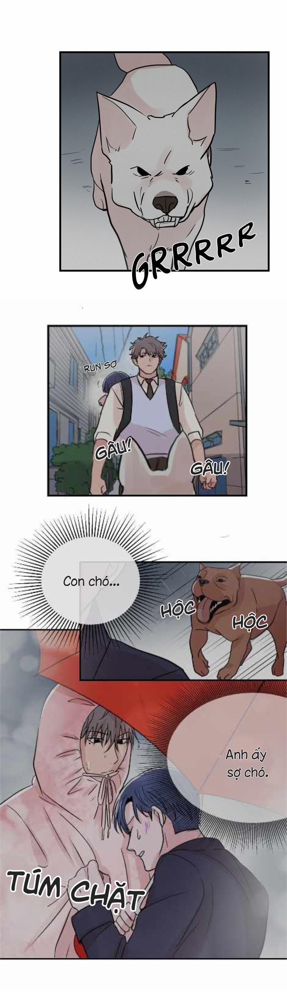 Đến Khi Môi Ta Chạm Nhau 21 trang 19