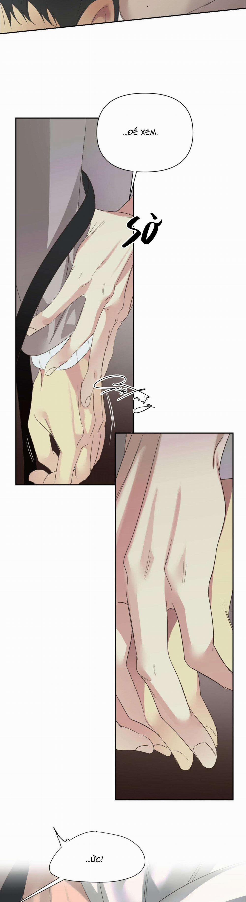 Đèn Nền 15 trang 30