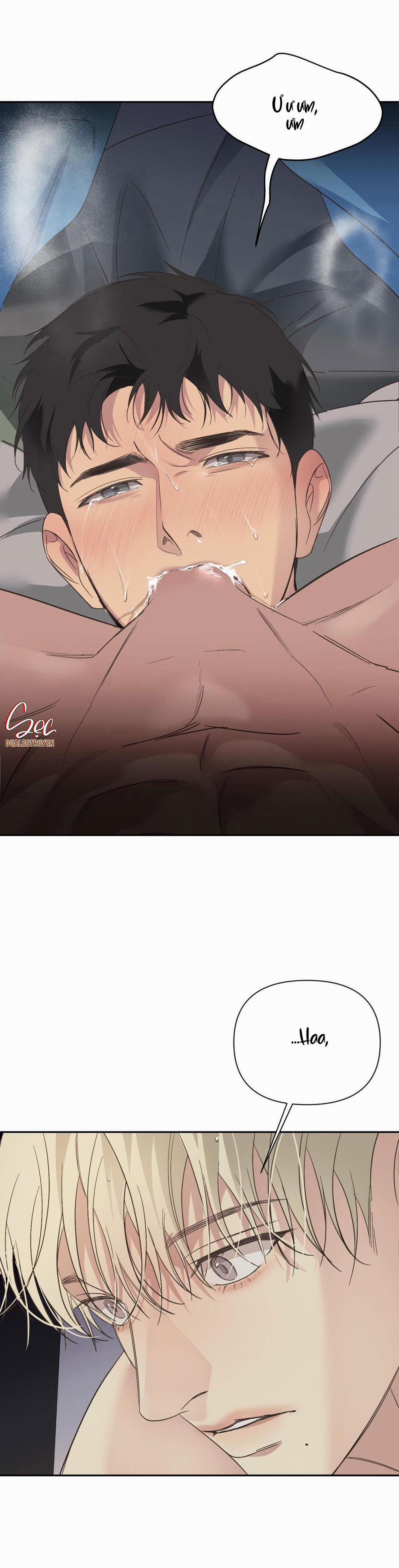 Đèn Nền 23 H++ FULL HD trang 33