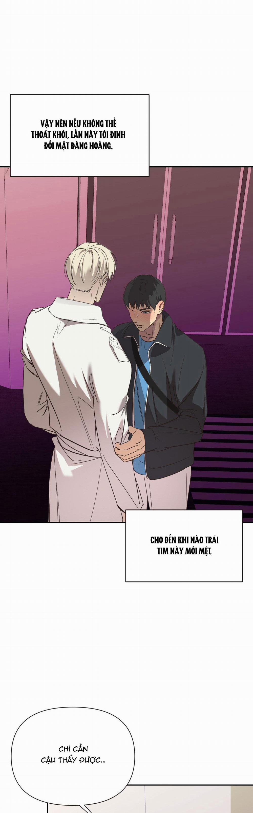 Đèn Nền 23 H++ FULL HD trang 4