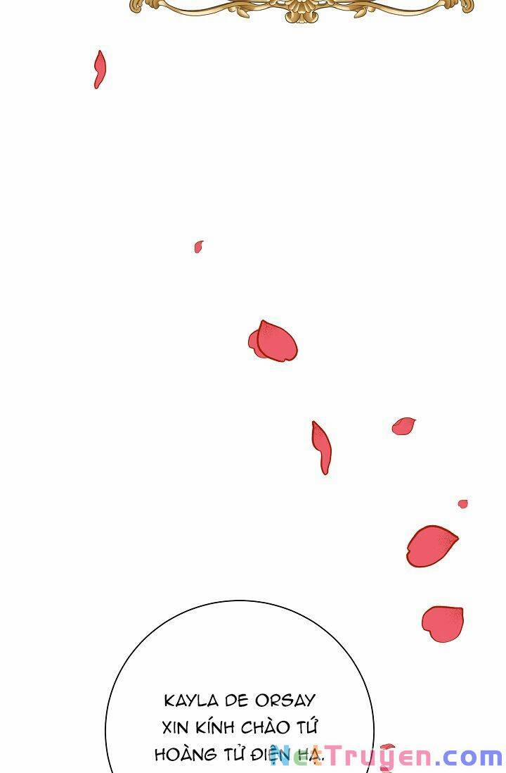 Đeo Bám Tôi Cũng Vô Ích Thôi 28 trang 60