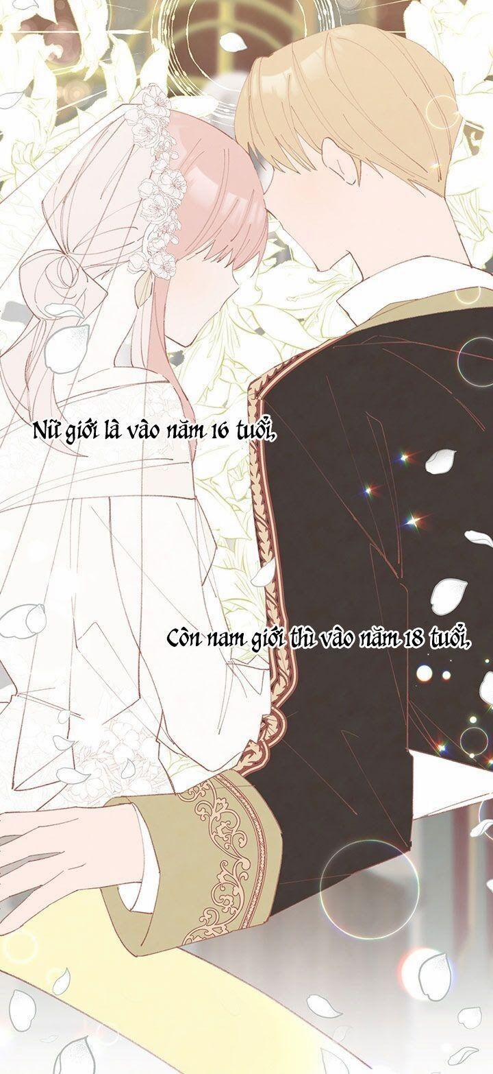 Đeo Bám Tôi Cũng Vô Ích Thôi 3 trang 28