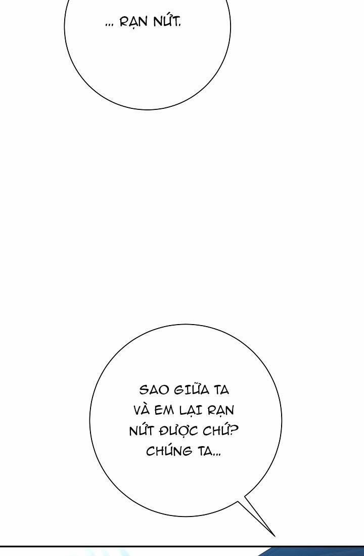 Đeo Bám Tôi Cũng Vô Ích Thôi 30 trang 66