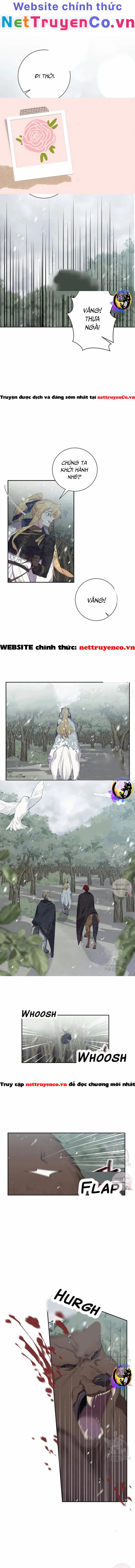 Đeo Bám Tôi Cũng Vô Ích Thôi 56 trang 0