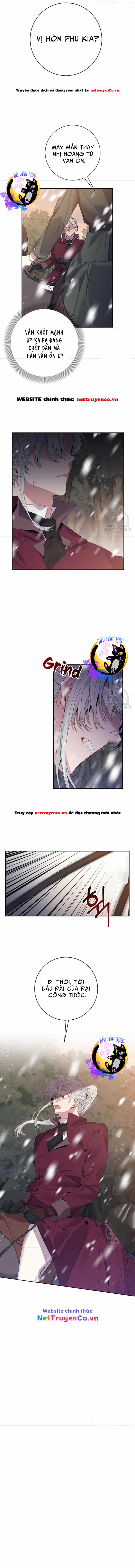 Đeo Bám Tôi Cũng Vô Ích Thôi 59 trang 2